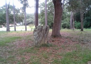 Fairhope also has rocks- not coquina rocks either, but actual rocks.